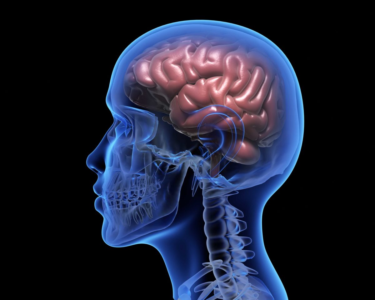 Kurkuma und Wirkung auf Ihr Gehirn